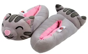 Big Bang Theory Soft Kitty Slippers