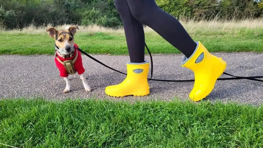 LADIES ANKLE BOOT - YELLOW