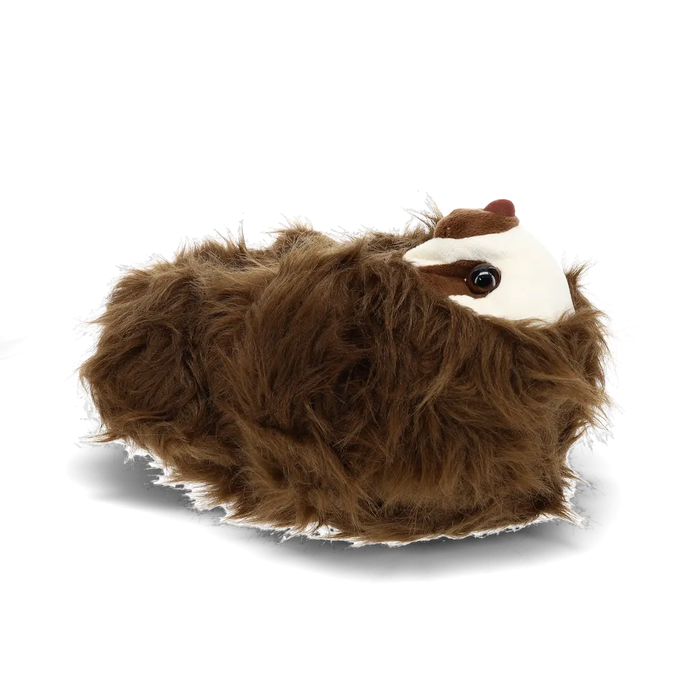 Sloth Slippers