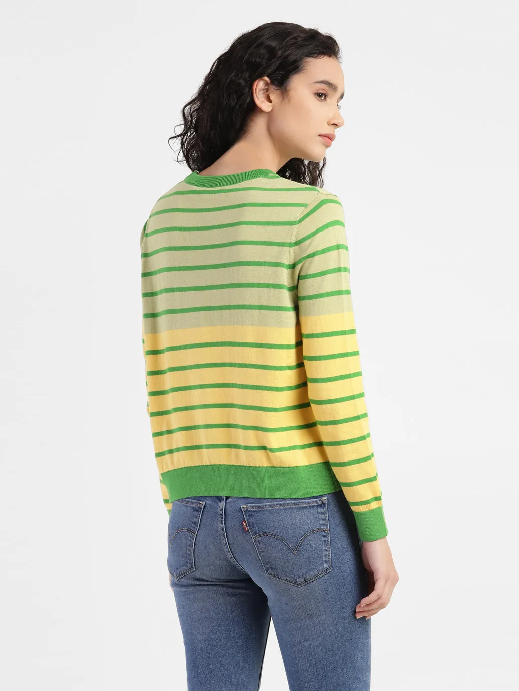 Women's Striped Multicolor Crew Neck Sweater