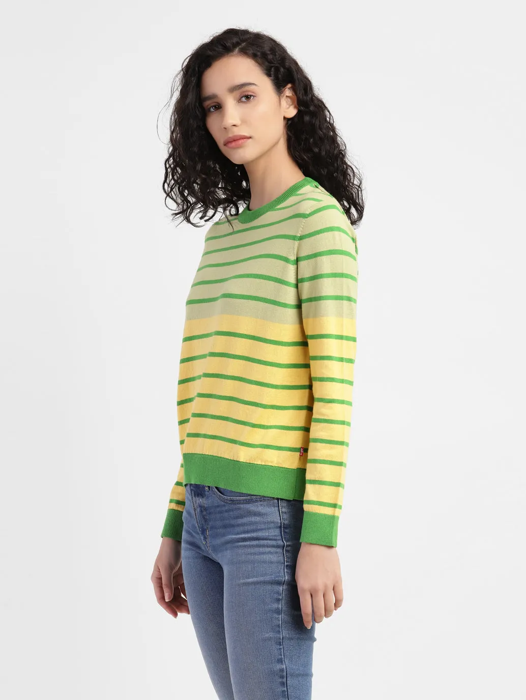 Women's Striped Multicolor Crew Neck Sweater